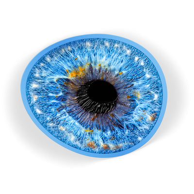 Blue Iris