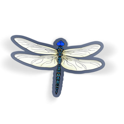 Glass Dragonfly