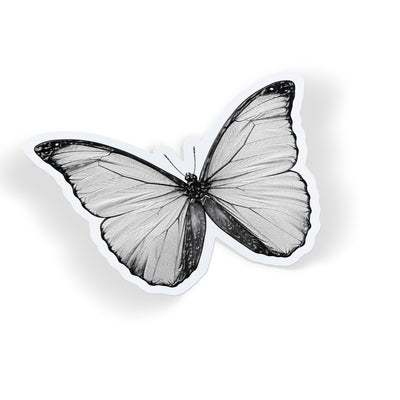 Pale Butterfly