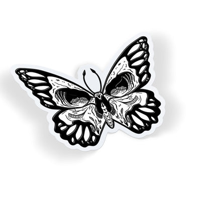 Skull Wing Butterfly