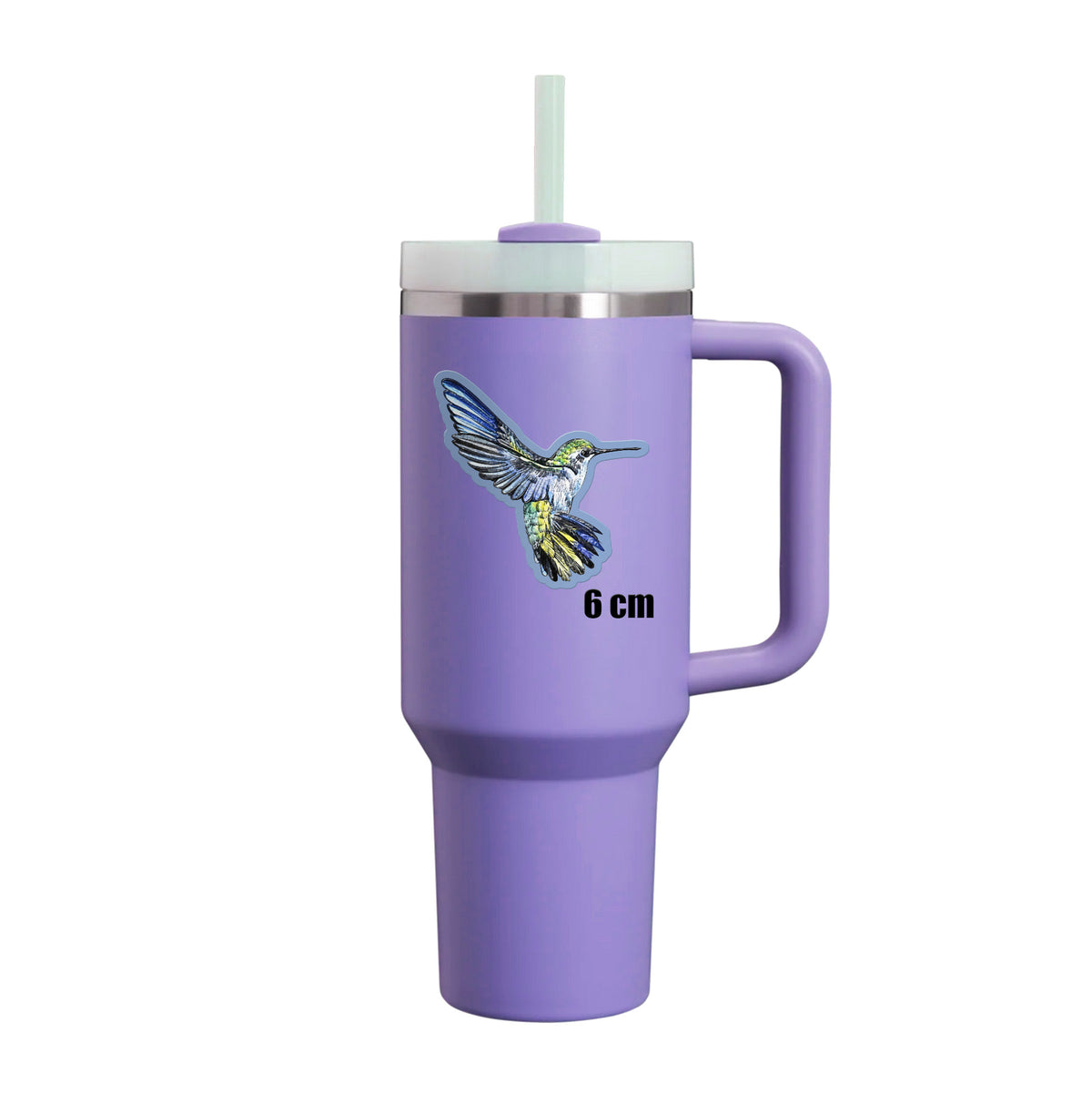 Iridescent Hummingbird