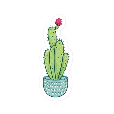 Baby Cactus