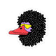 Black Duck