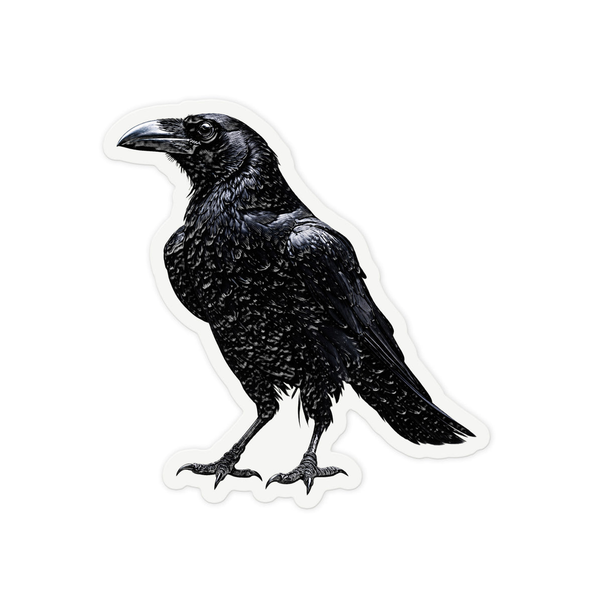 Black Raven