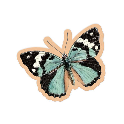 Blue Radianc