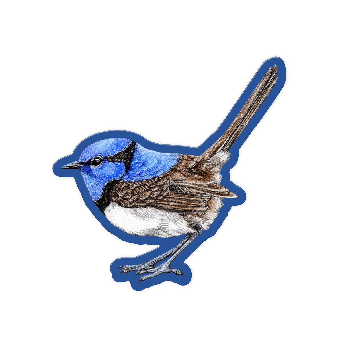Blue Fairy Wren