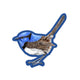 Blue Fairy Wren