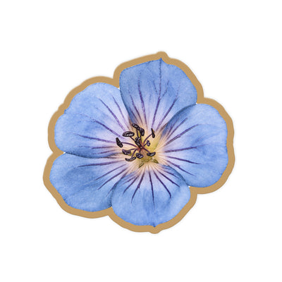 Blue Geranium
