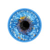Blue Iris