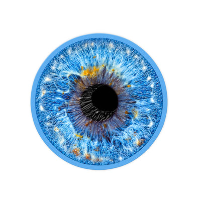 Blue Iris