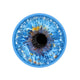 Blue Iris
