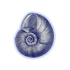 Blue Nautilus Shell