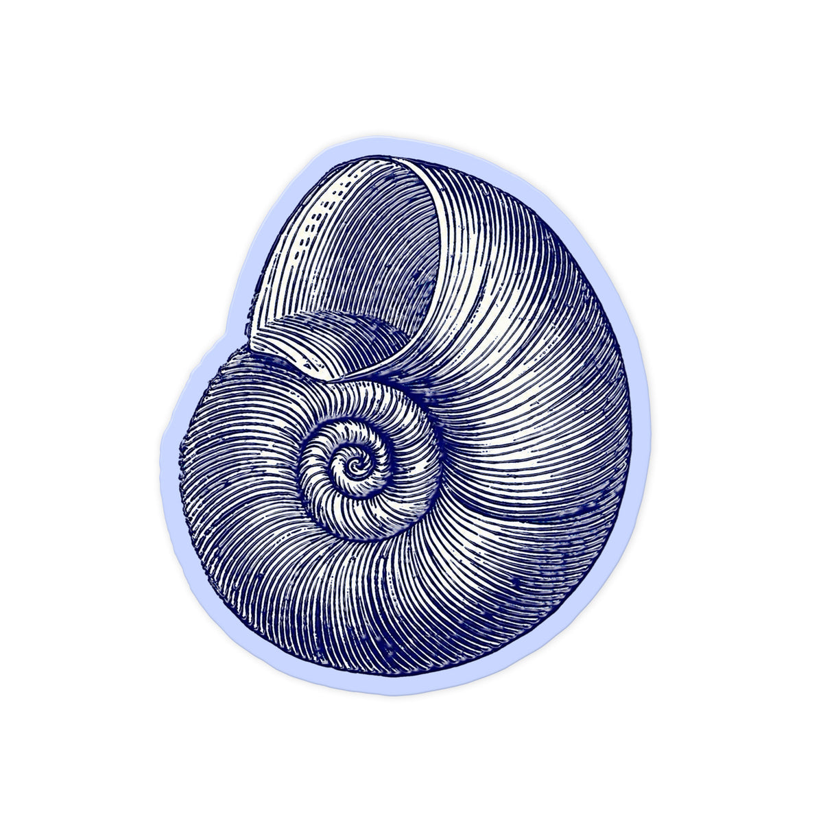 Blue Nautilus Shell