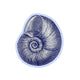 Blue Nautilus Shell