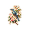 Bluebird And Blossoms