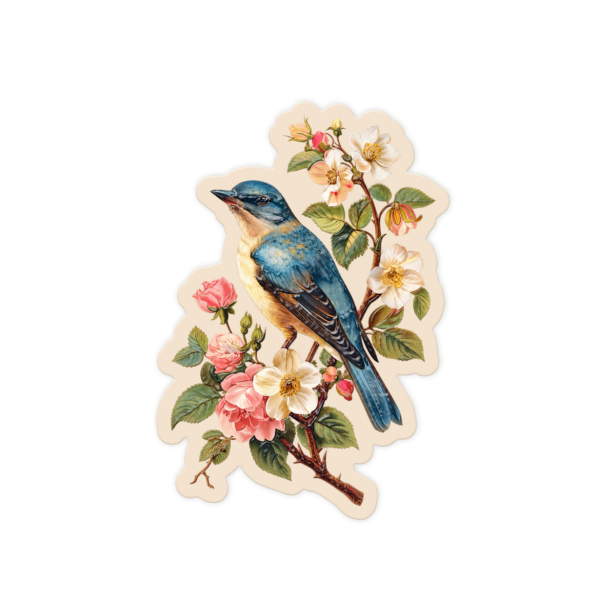 Bluebird And Blossoms