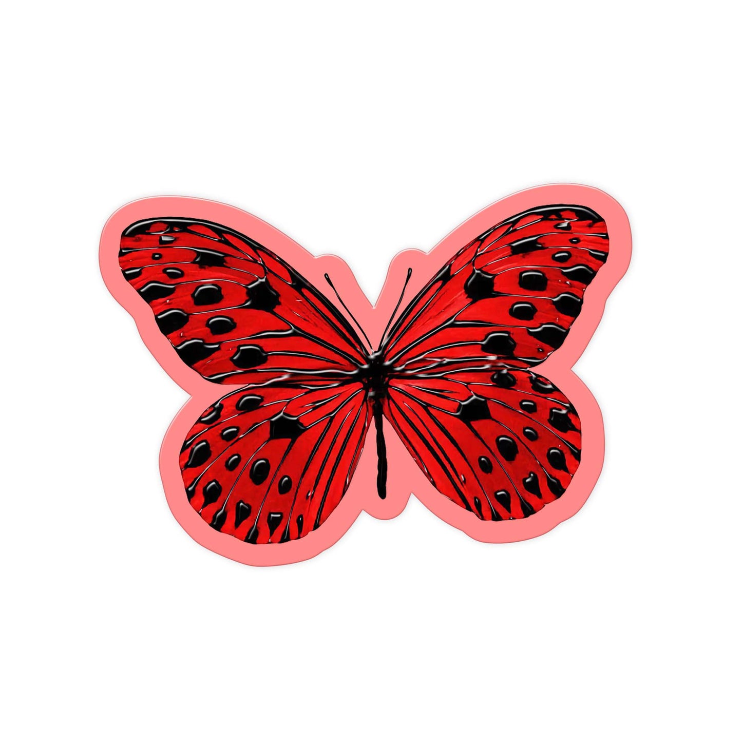 Bold Flutter