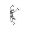 Bone Dance