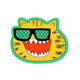 C.C Shades