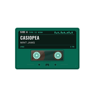 Casiopea - MINT JAMS