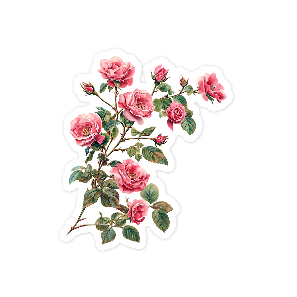 Climbing Pink Roses