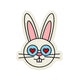 Cool Bunny 2