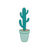 Desert Pot