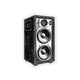 Engraved Speaker