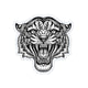 Engraved Tiger