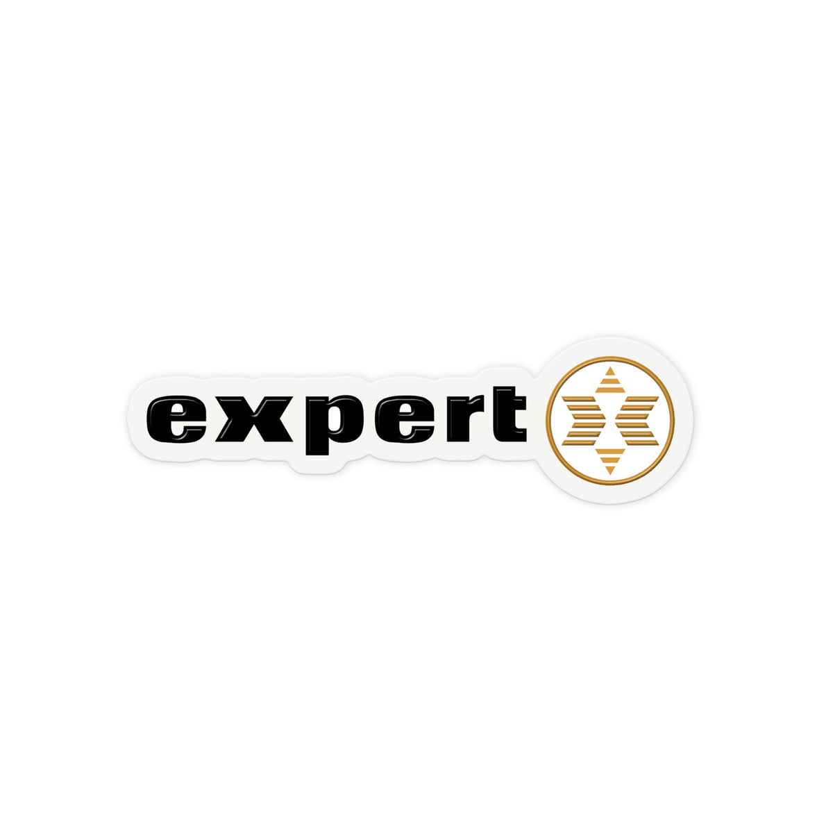 Expert Logo
