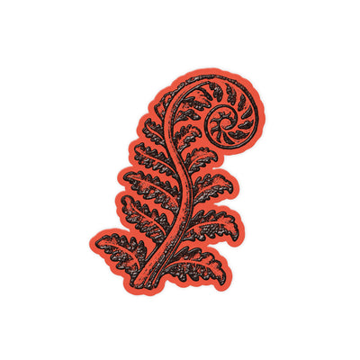 Fern Curl