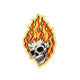 Flaming Skull