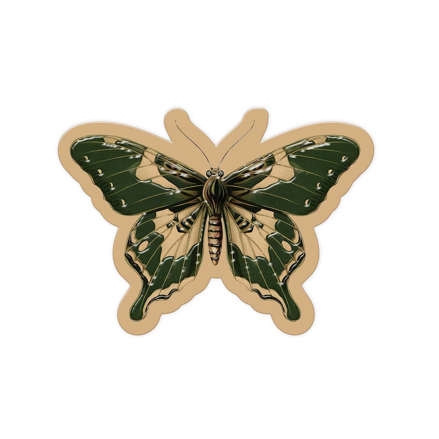 Forest Wing