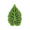 Fresh Leaf