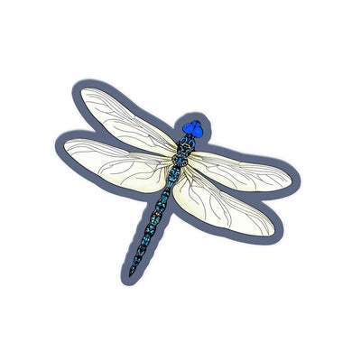 Glass Dragonfly