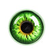 Green Iris Eye