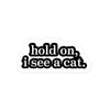Hold On I See A Cat