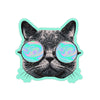 Holo Shades Cat