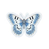 Ice Wing