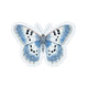 Ice Wing