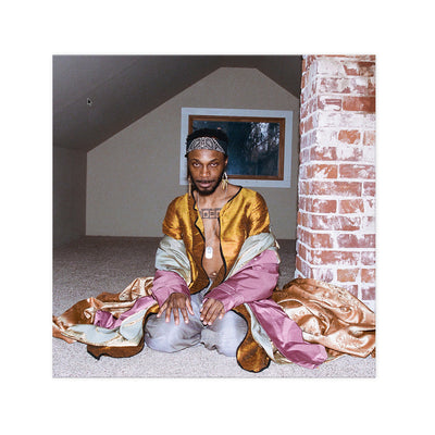 JPEGMAFIA - All My Heroes Are Cornballs