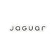 Jaguar Logo