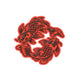 Koi Loop
