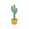 Mini Cactus