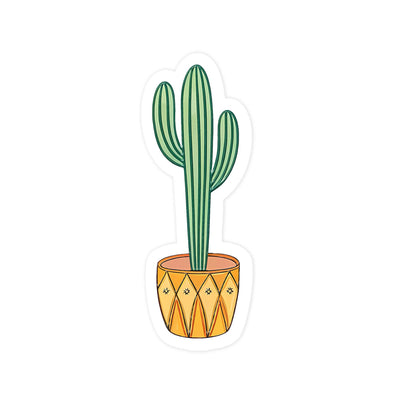 Mini Cactus