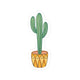 Mini Cactus