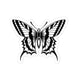 Mono Moth