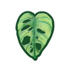 Monstera.H