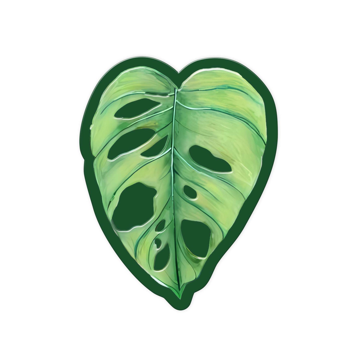 Monstera.H