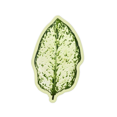 Moss Leaf